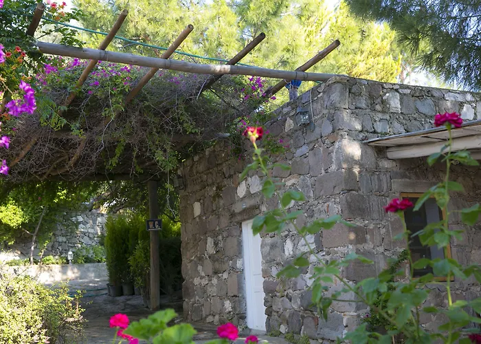 Karianda 골터크부쿠