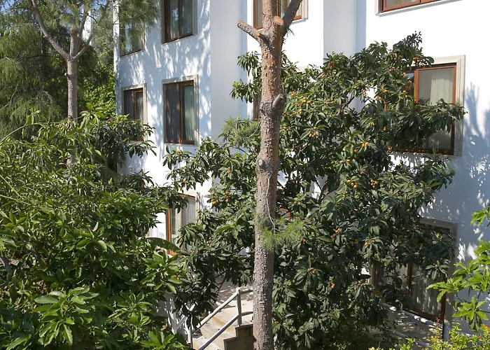 Karianda * 골터크부쿠