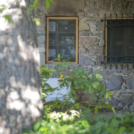 Karianda * غولتوركبوكو