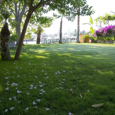 Karianda * غولتوركبوكو