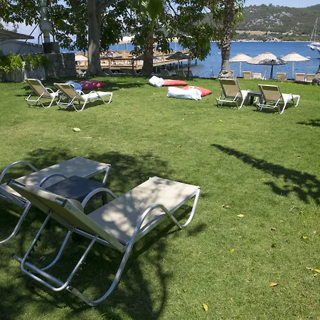 Karianda * غولتوركبوكو