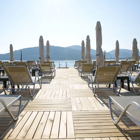 Karianda غولتوركبوكو