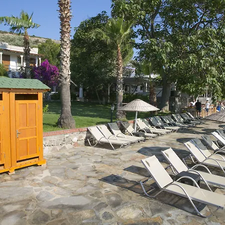 Karianda * غولتوركبوكو