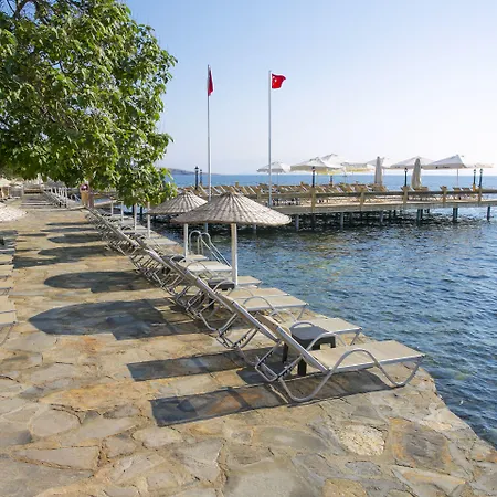 Karianda * غولتوركبوكو