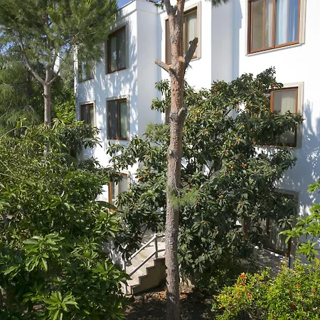 Karianda * Göltürkbükü